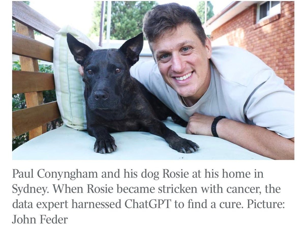 Rosie the dog - Image 4